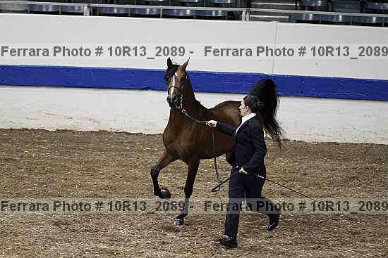 Proof 10r13_2089