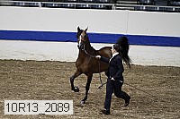 10r13_2089 proof