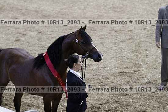 Proof 10r13_2093