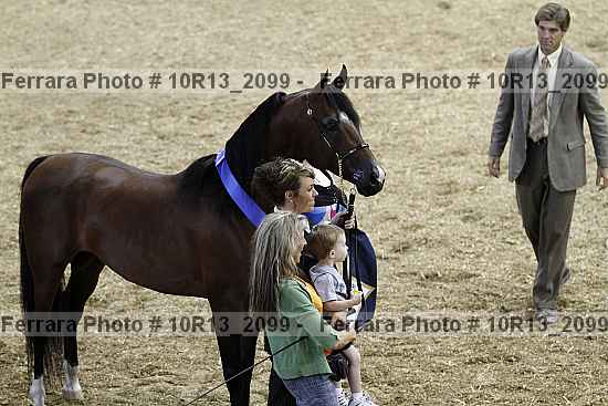 Proof 10r13_2099