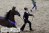 10r13_2101 proof