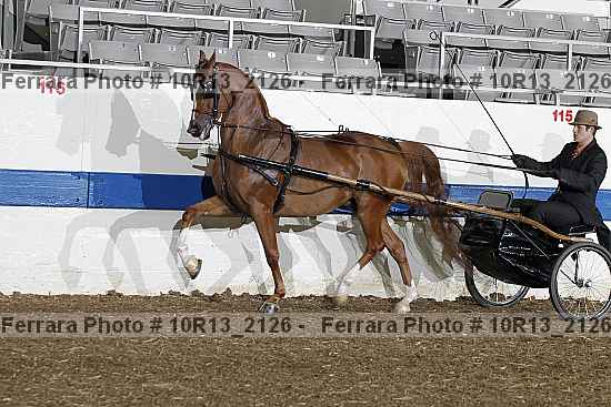 Proof 10r13_2126