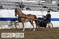 10r13_2129 proof
