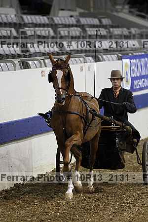 Proof 10r13_2131
