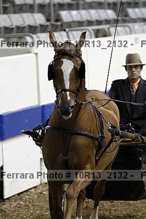 Proof 10r13_2132
