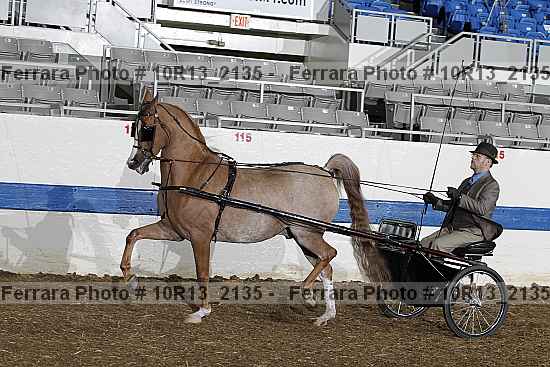 Proof 10r13_2135