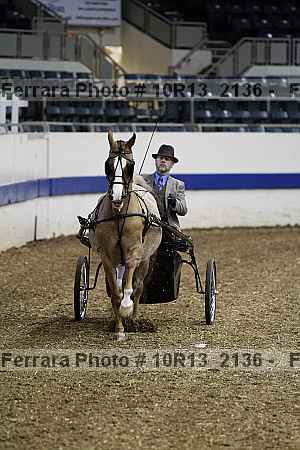 Proof 10r13_2136