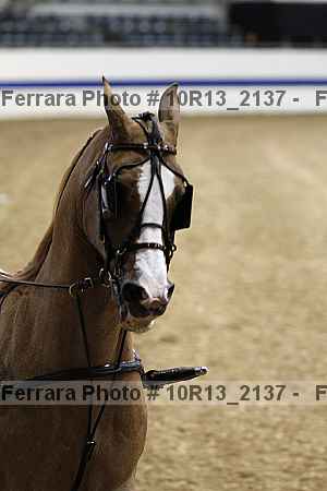 Proof 10r13_2137
