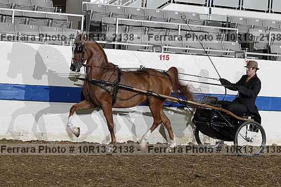 Proof 10r13_2138