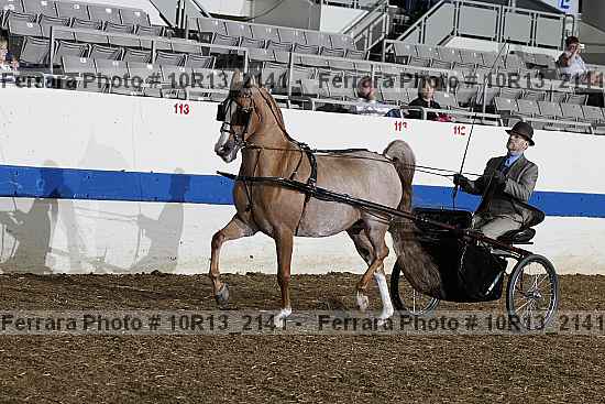 Proof 10r13_2141