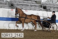 10r13_2142 proof