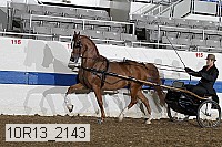10r13_2143 proof