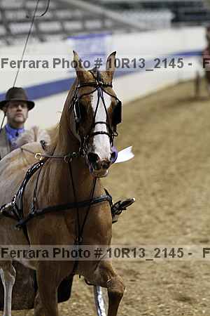 Proof 10r13_2145