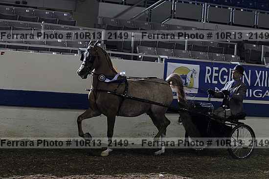 Proof 10r13_2149