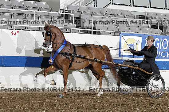 Proof 10r13_2153