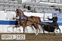 10r13_2153 proof