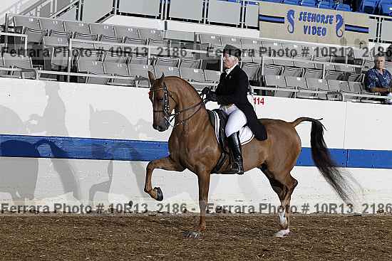 Proof 10r13_2186
