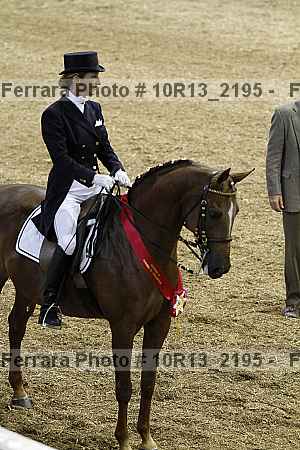 Proof 10r13_2195