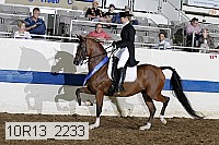 10r13_2233 proof
