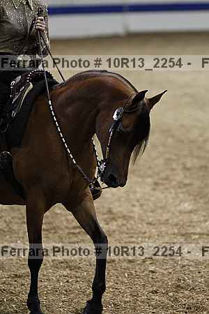 Proof 10r13_2254
