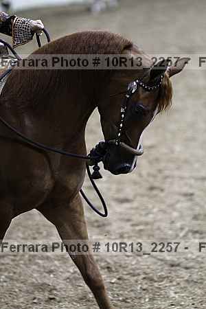 Proof 10r13_2257