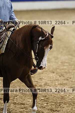 Proof 10r13_2264
