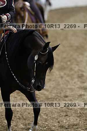 Proof 10r13_2269