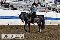 10r13_2272 proof