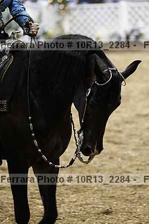 Proof 10r13_2284