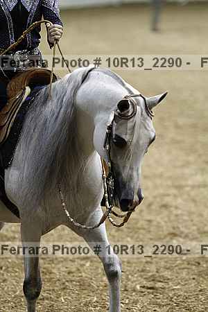 Proof 10r13_2290