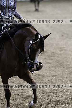 Proof 10r13_2292