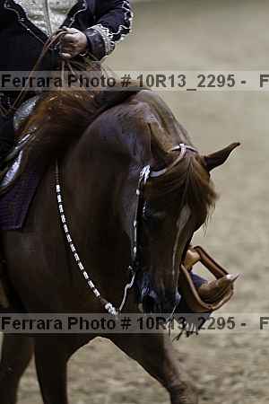 Proof 10r13_2295