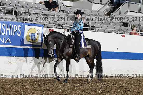 Proof 10r13_2311
