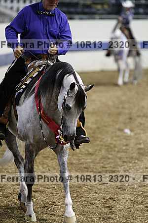Proof 10r13_2320