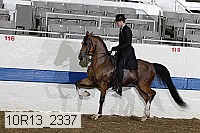 10r13_2337 proof