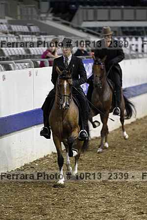Proof 10r13_2339