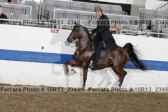 Proof 10r13_2346