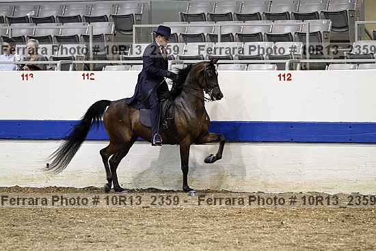 Proof 10r13_2359
