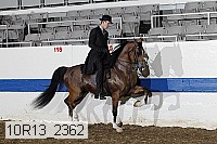 10r13_2362 proof