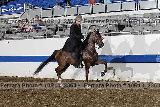 Proof 10r13_2363