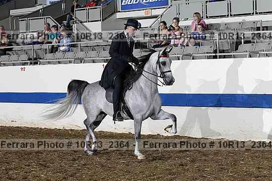 Proof 10r13_2364