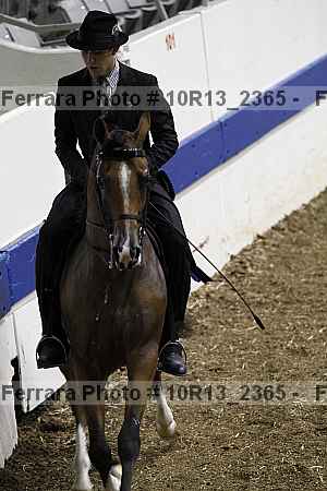 Proof 10r13_2365