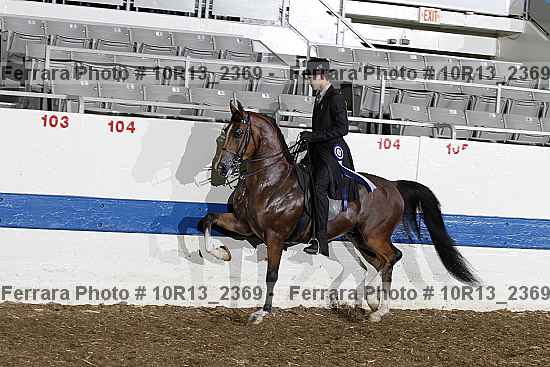 Proof 10r13_2369