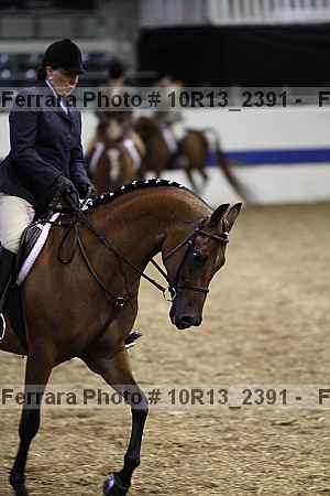 Proof 10r13_2391