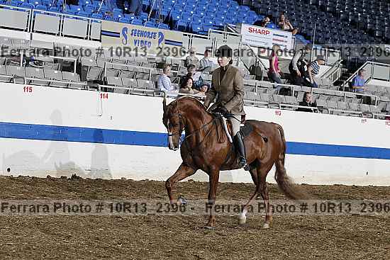 Proof 10r13_2396