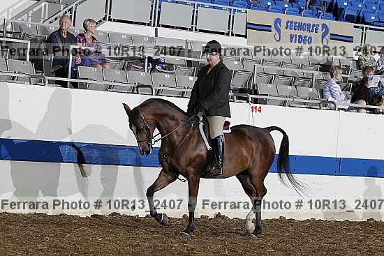 Proof 10r13_2407