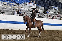 10r13_2408 proof