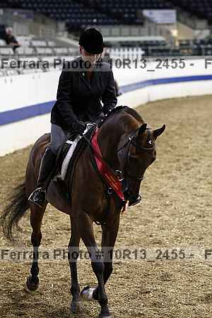 Proof 10r13_2455