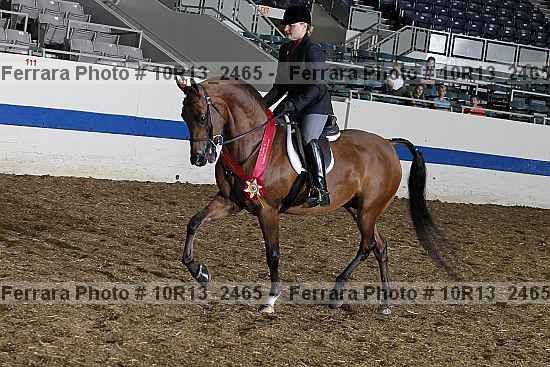Proof 10r13_2465
