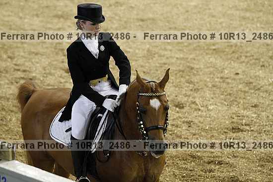 Proof 10r13_2486